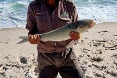 Fishing-DEntrecasteaux-NP-Redtrack-Tours