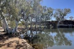 Bilung-Pool-Carnarvon-Mullewa-Road-Redtrack-Tours2