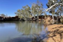 Bilung-Pool-Carnarvon-Mullewa-Road-Redtrack-Tours3