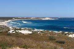 Ningaloo-Reef-Warroora-Station-Redtrack-Tours1