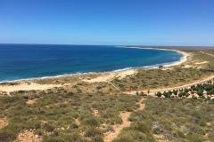 Ningaloo-Reef-with-Redtrack-Tours6