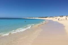 Ningaloo-Reef-with-Redtrack-Tours8