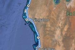 Ningaloo-Reef-with-redtrack-Tours1