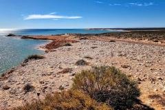 Shark-Bay-with-Redtrack-Tours1