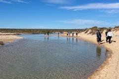 Shark-Bay-with-Redtrack-Tours3