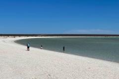 Shell-Beach-Shark-Bay-with-Redtrack-Tours