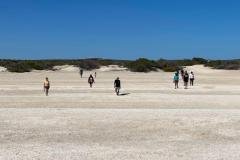 Shell-Beach-Shark-Bay-with-Redtrack-Tours1