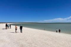 Shell-Beach-Shark-Bay-with-Redtrack-Tours3