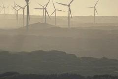 Albany-Wind-Farm-Redtrack-Tours