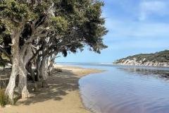 Nanarup-Beach-Albany-with-Redtrack-Tours-9